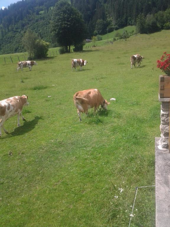 Ferienwohnungen Behamhof Neukirchen am Grossvenediger Luaran gambar