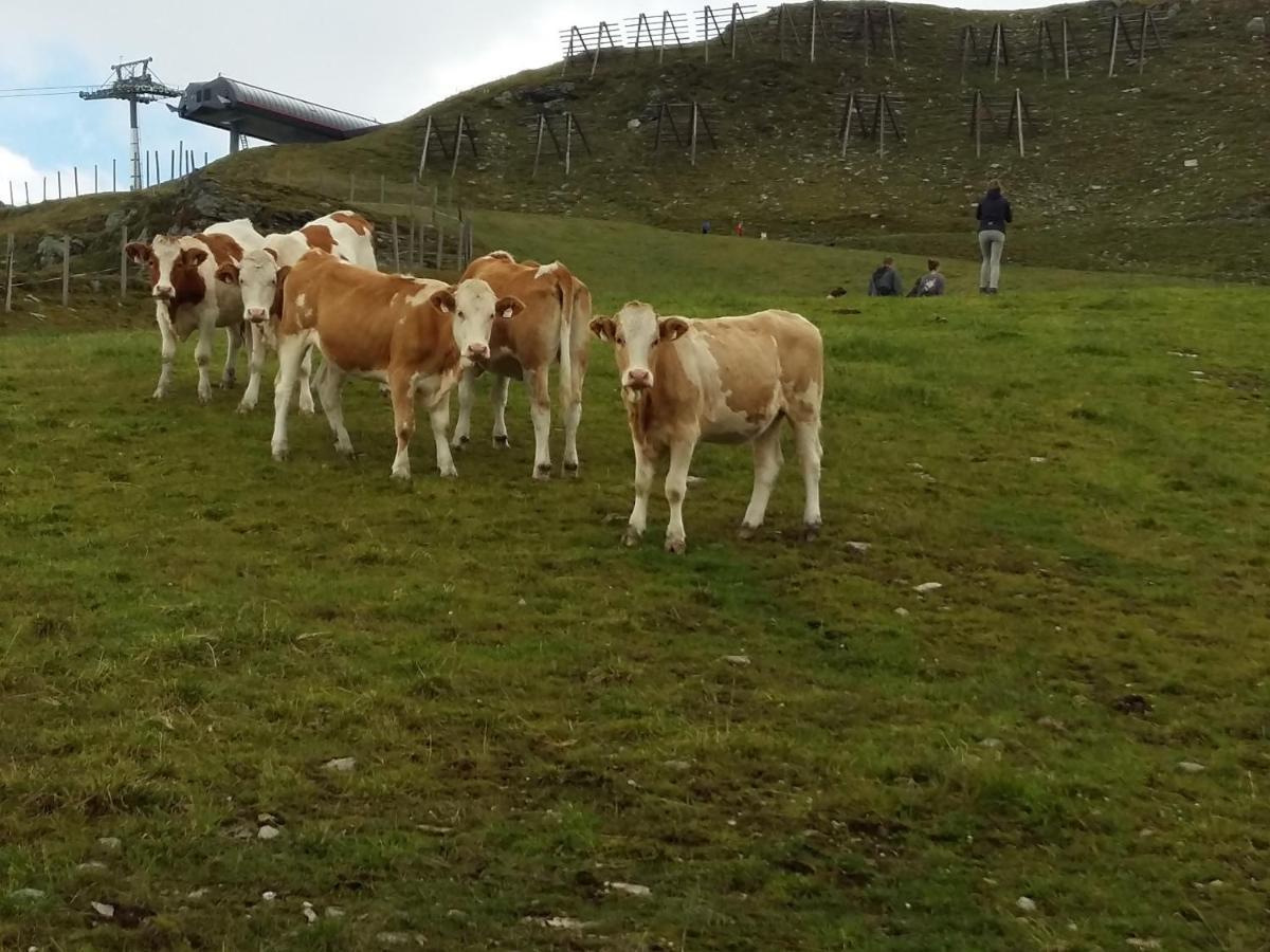 Ferienwohnungen Behamhof Neukirchen am Grossvenediger Luaran gambar